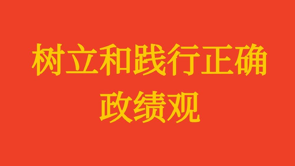 實干擔(dān)當(dāng) 為民造?！?xí)近平總書記引領(lǐng)全黨樹立和踐行正確政績觀